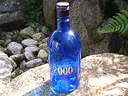�C����̑��蕨 2000