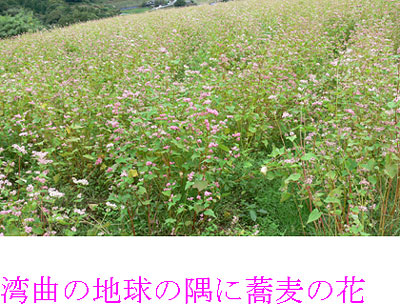 �p�Ȃ̒n���̋��ɋ����̉�