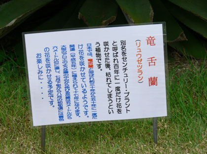 ���㗖