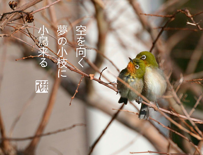 空を向く夢の小枝に小鳥来る