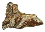 �ڂ��̈���