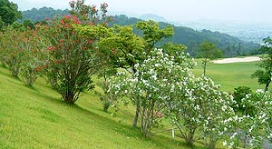 �S���t��