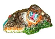 ���낮�}���h����