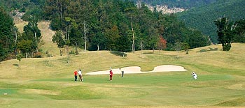 �S���t��