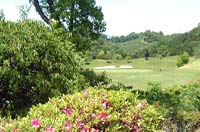 �S���t���