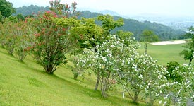 �S���t��