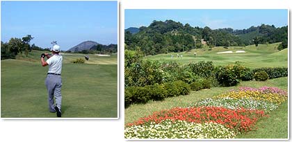 ���F��D����N����@�E�F�S���t��