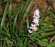 ���u����