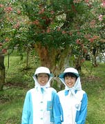 �L���f�B����