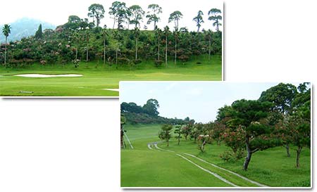 ������S���t��̃T���X�x��