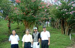 �u�T���X�x����v