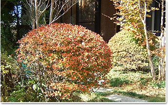 �h�E�_���c�c�W