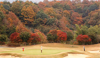 �S���t��̏H