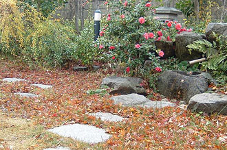 ��̗����t