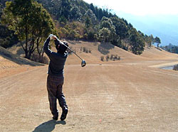 �S���t��̎ʐ^