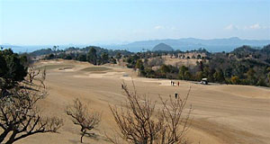 �S���t��̎ʐ^