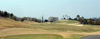 �S���t��̎ʐ^