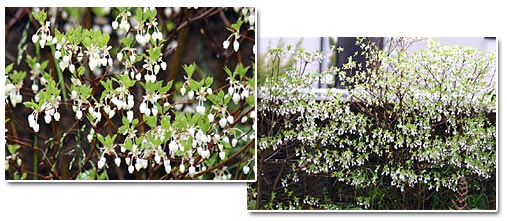 �h�E�_���c�c�W