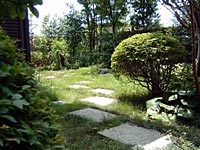 �Ő�������O