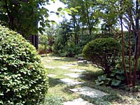 �Ő�����������