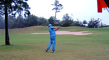 �J�̃S���t