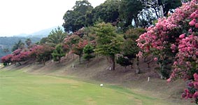 �T���X�x��