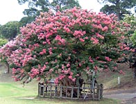 �T���X�x��