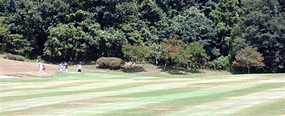 �T���X�x��