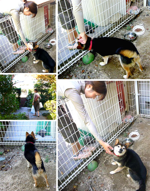 �A���~�����ƃ_��