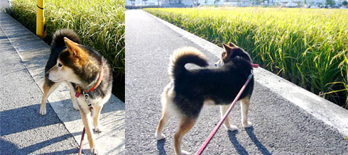 �U������_��