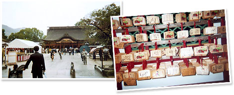 ��ɕ{�V���{