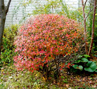 �h�E�_���c�c�W