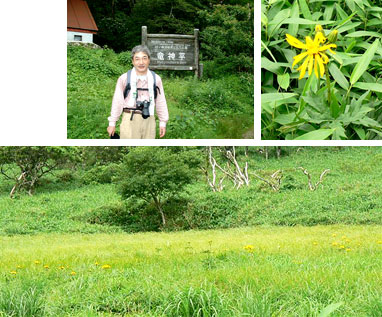 ���_���̃n���J�C�\�E