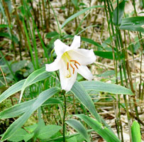 �T�T����