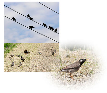 ���N�h���̎ʐ^