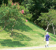 �T���X�x��