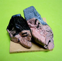 ������M�����u����E���{�v