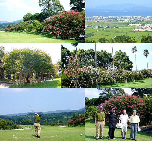 �T���X�x��