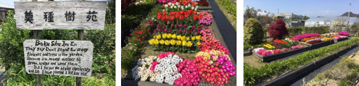 オープン花壇