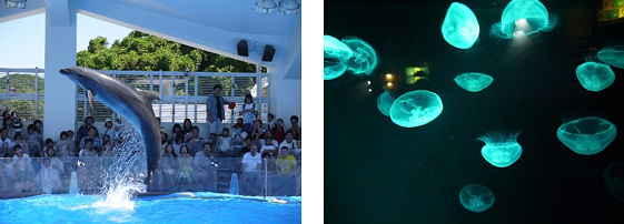 水族館「海きらら」