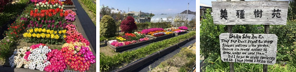 オープン花壇
