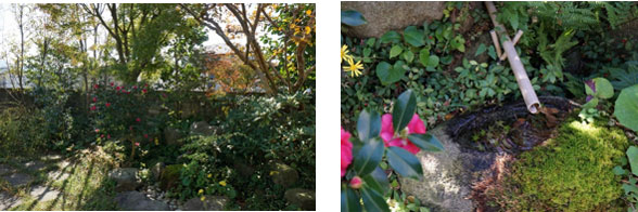 紅葉と庭の蹲