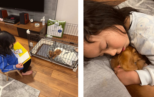 次女と犬