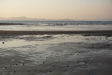 砂浜