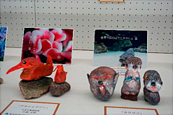 小石の作品 アカショウビン・かわうそ