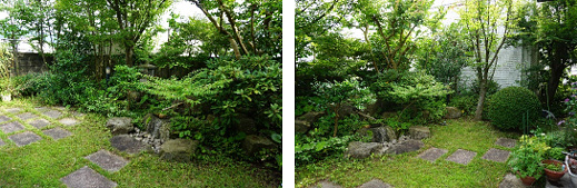 草を刈った院長の庭