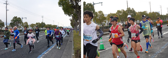 愛媛マラソンのコースを走るランナー