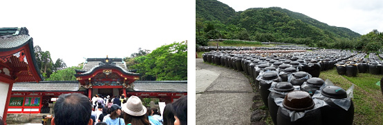 霧島神宮、壮大な黒酢の甕壺の多さ