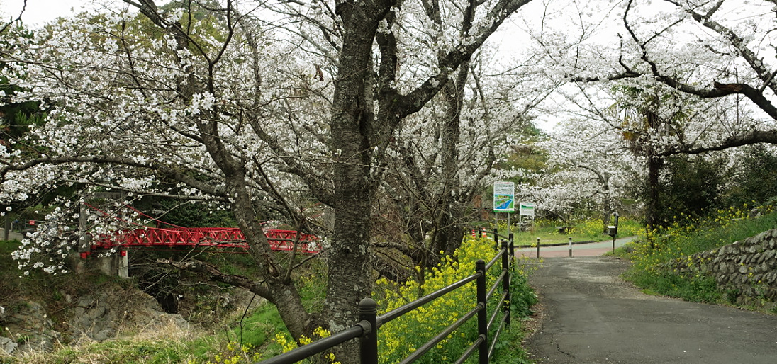 石手川緑地公園